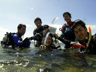 ���S�ł��邨�X���