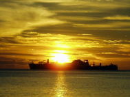 ���S�΍􂪖��S