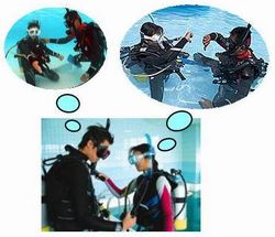 �v�[���_�C�r���O