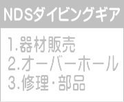 NDS�_�C�r���O�M�A