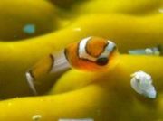 �_���S�E�I