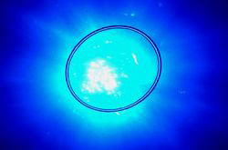 ����������_�C�r���O