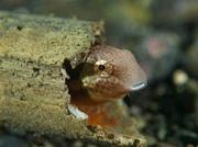 �j�W�M���|