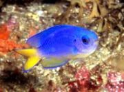 �\���X�Y���_�C